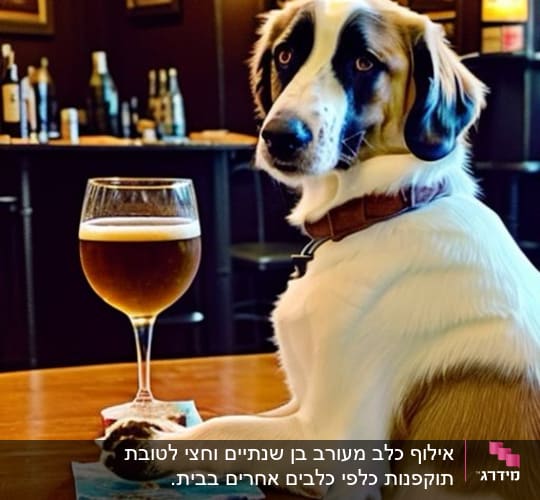 כלב יושב ליד כוס בירה על שולחן